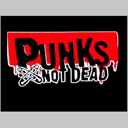 Punks not Dead chrbtová nášivka veľkosť cca. A4 (po krajoch neobšívaná) rozmery 36x24cm